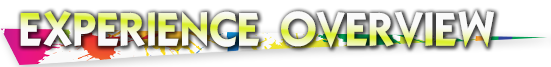 Experience Overview
